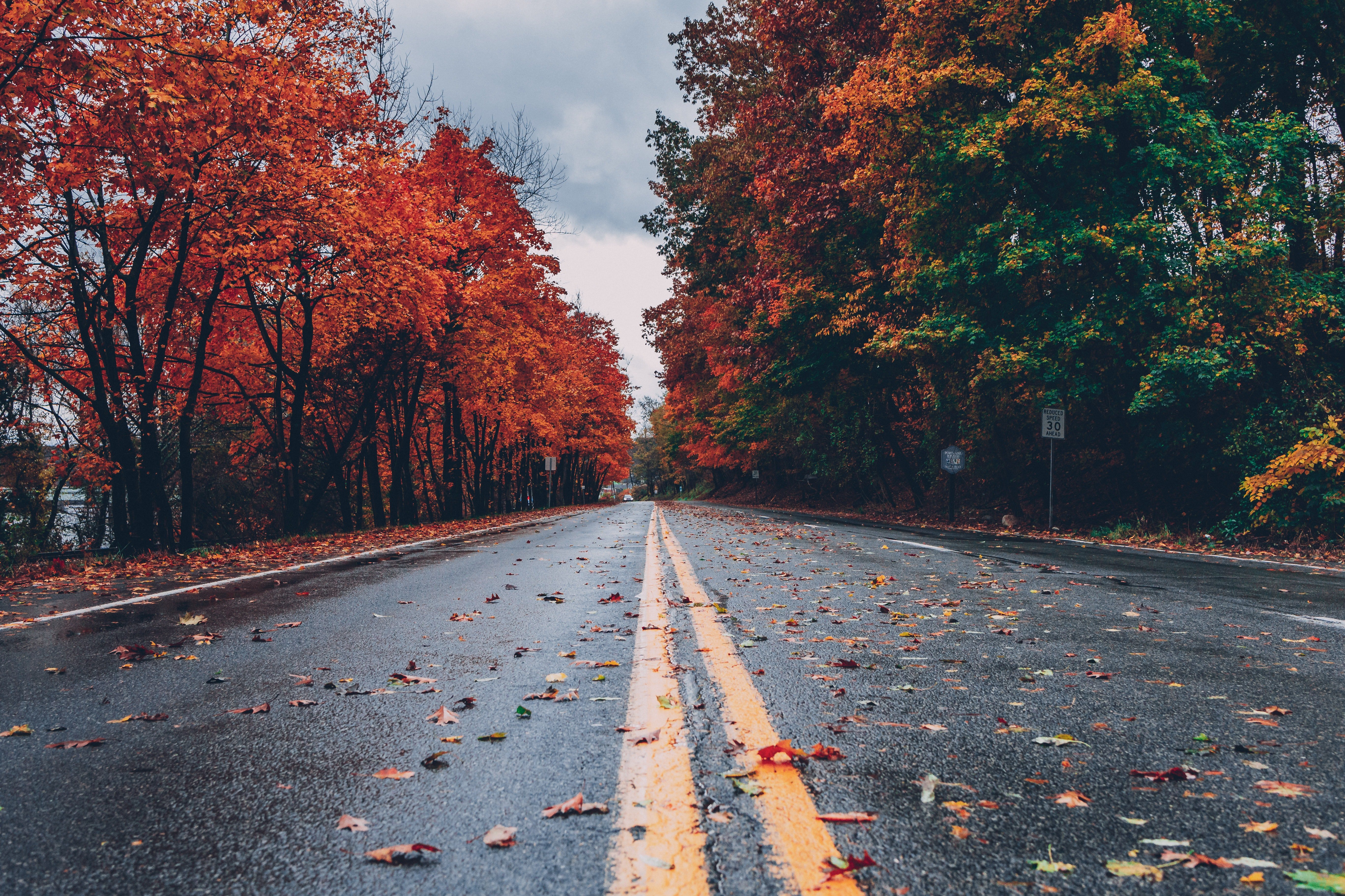Fall is an amazing time in San Leandro